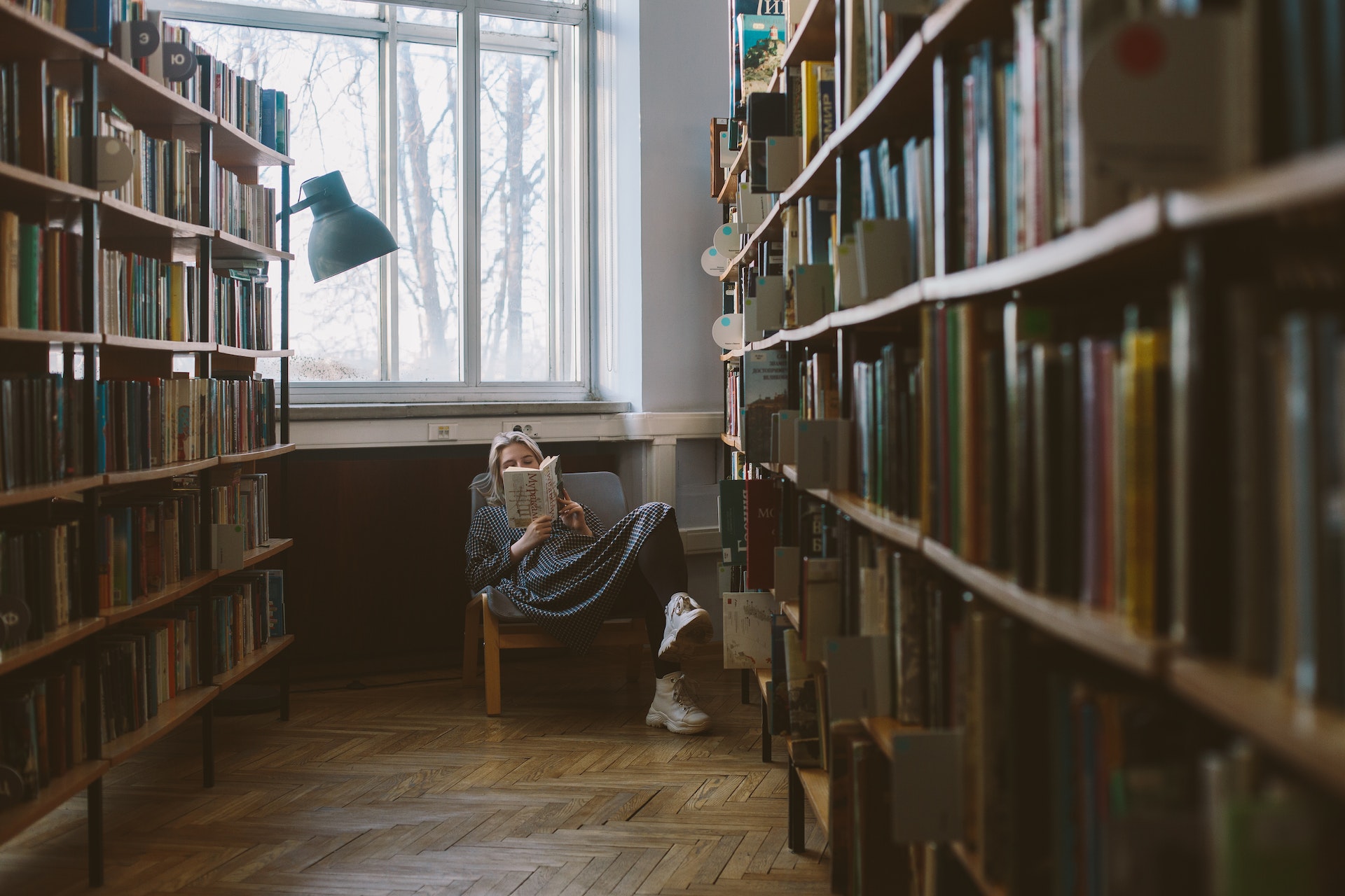 Libri più amati su book tok